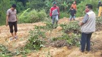 Bupati Mamasa Turun Langsung Membersihkan Tanah Akibat Longsor di Wilayah Sindagamanik Mamasa