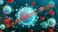 Mamasa Tujuh Orang Reaktif Belum Bisa Dikatakan Virus Corona