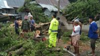 Curah Hujan Disertai Angin Kencang, Dua Rumah di Jeneponto Tertimpa Pohon