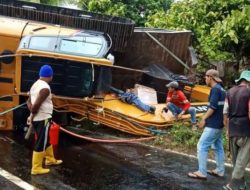 Mobil Hino Bermuatan Alat Berat Terbalik di Jalan Trans Sulawesi Kolut