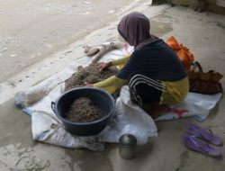 Diusia Tak Lagi Muda, Dengan Semangat Seorang Nenek Menjual Ikan Penja