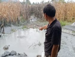 Warga di Mateng Dikejutkan Semburan Lumpur Saat Melakukan Pengeboran Sumur