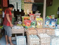 Selain Minyak Goreng, Telur Ayam Ras di Pasar Tradisional Topoyo Alami Lonjakan Harga