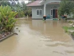 Sungai Budong – Budong Meluap, Desa Panggalloang Terendam Banjir
