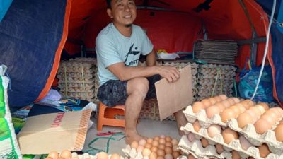 Jelang Labaran Idul Adha, Harga Telur Ayam Ras Potensi Meningkat