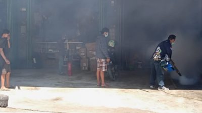 Enam Warga Terkonfirmasi DBD di Mamasa, 1 Orang Kritis di RSUD Polman