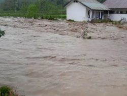 Sungai Ralleanak Meluap, Sekolah dan Puluhan Hektar Sawah di Ralleanak Utara Terendam Banjir