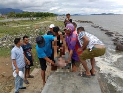 Sosok Mayat Tanpa Identitas Ditemukan Mengapung di Pantai Cendrawasih Polman