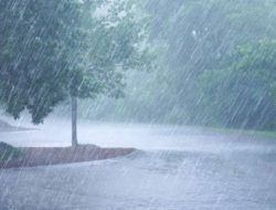 Peringatan Dini BMKG, Sejumlah Wilayah di Sulbar Potensi Hujan Disertai Angin Kencang