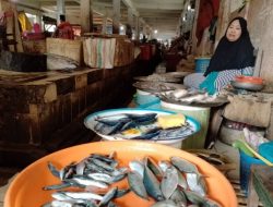 Harga Ikan di Pasar Sentral Majene Tergolong Tidak Stabil