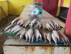 Ikan di Pasar Anaiwoi Terpantau Mahal dan Langkah