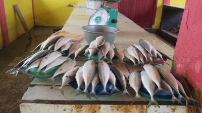 Ikan di Pasar Anaiwoi Terpantau Mahal dan Langkah